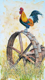 Picture